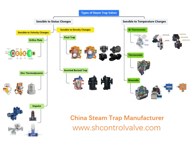 Steam Trap Valve Manufacturer
